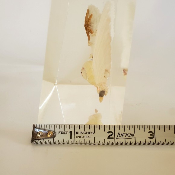 1970 Lucite Acrylic Bookends Nautical Ocean Beach Seashells Seahorses Starfish - Picture 16 of 16